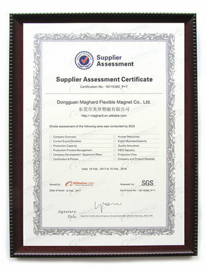 Supplier Assessment