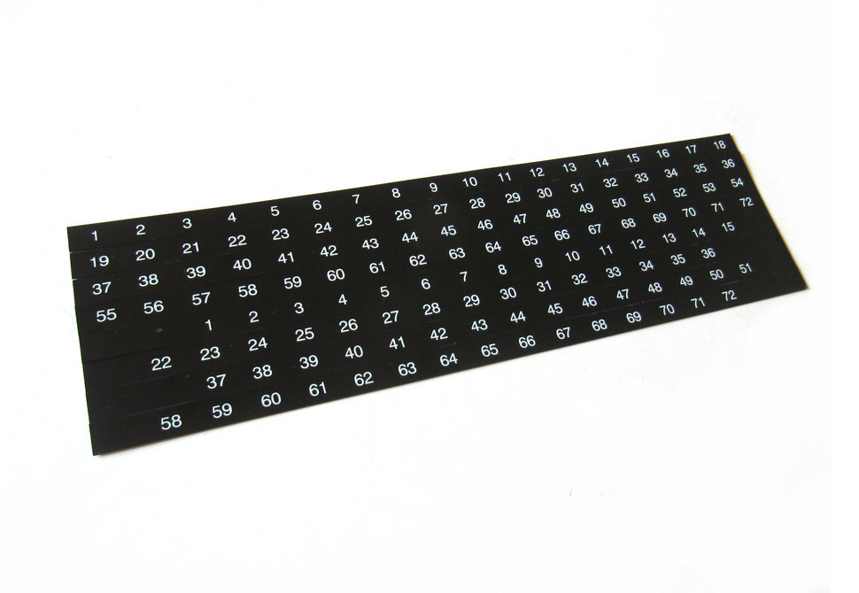 主3